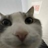 Profilbild von Broopski