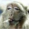 Mister Sinistral's profile picture