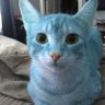fade's profile picture