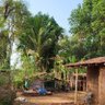 konkan's profile picture