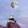 毒舌zy.mytt profil fotoğrafı