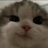 Profilbild von ~