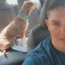 XSagerrX's profile picture