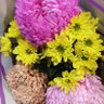 Фото профиля آصم شیراذ