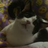 Profilbild von Vicky02