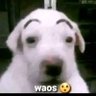 Profilbild von carlos