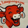 Low バセドウ病垢(私生活のあれこれ)'s profile picture