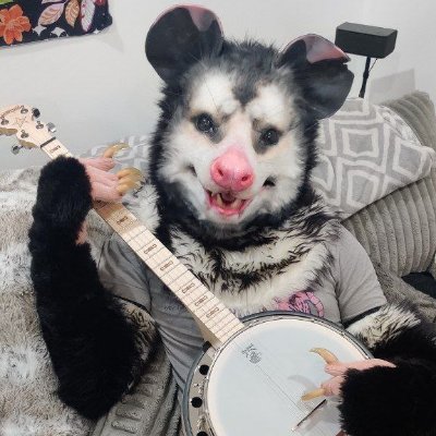 Drev's profile picture