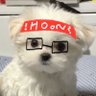 츠 profil fotoğrafı