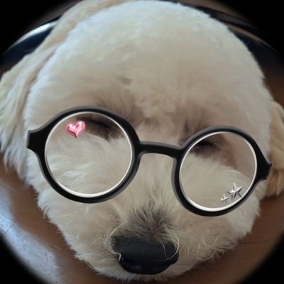 🌰君と過ごす日常🌰's profile picture