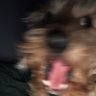 Jeremiah's profile picture