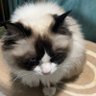 hmmm… profil fotoğrafı
