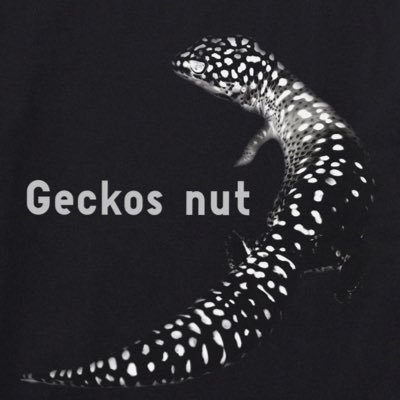 tonbe0913's profile picture