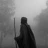 حمدي الجهيني 518's profile picture