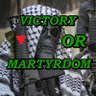 Teneen, Palestinians suffering will not go in vain's profile picture