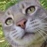 Profilbild von plunto