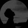 M's profile picture