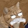 Spicy Feral Cat 的头像