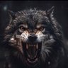 Zafer's profile picture
