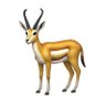 Profilbild von RUGBYSAURUS