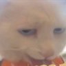 Profilbild von 吃吃看