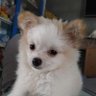 💫isthiti !!! profil fotoğrafı