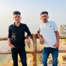 anil siyag's profile picture