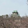 ナオ 的头像