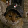 Melly's profile picture