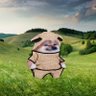 Profilbild von 🐑 ℕ△𝔽𝕆 𝕊𝕔𝕙𝕒𝕗 🇺🇦 #WeareN△FO 🇪🇺