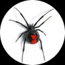 Фото профиля Arachnospindicalist Palestinian Collective