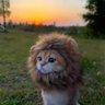 なお profil fotoğrafı