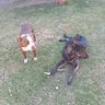 Freddy's profile picture