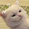 Profilbild von ต้นไม้ ต้นหนึ่ง