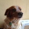 Profilbild von Filide