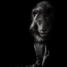 MlUhYa!'s profile picture