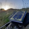 Фото профиля المحب لأهل الحديث والأثر