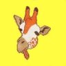 kou's profile picture
