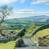 Фото профиля Yorkshire lass.
