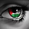 Lina 🇫🇷🇵🇸🇲🇦's profile picture