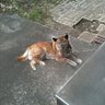 shunbow's profile picture