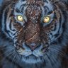 Smith & Wesson's profile picture