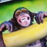 Profilbild von ApeFrmDfutRe3521