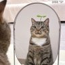 Uriy 🇺🇦 profil fotoğrafı