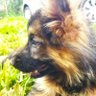 Loyal Babies 🧑🌾 profil fotoğrafı