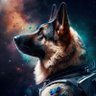 Dennis.M's profile picture