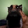 Profilbild von dane