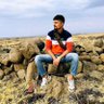 Mehmet 的头像