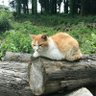 えみりん's profile picture