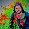 Фото профиля qudratu Afghan